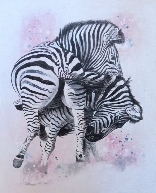 Zebras Fighting