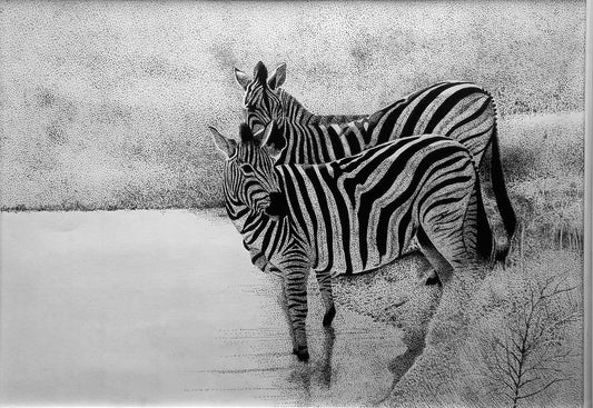 Zebras at Rietvlei