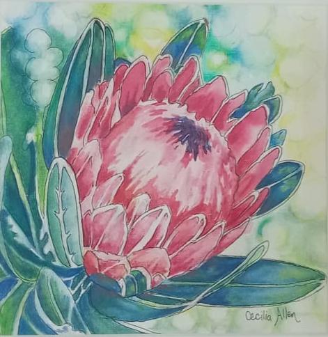 Shades of Greens and Pinks